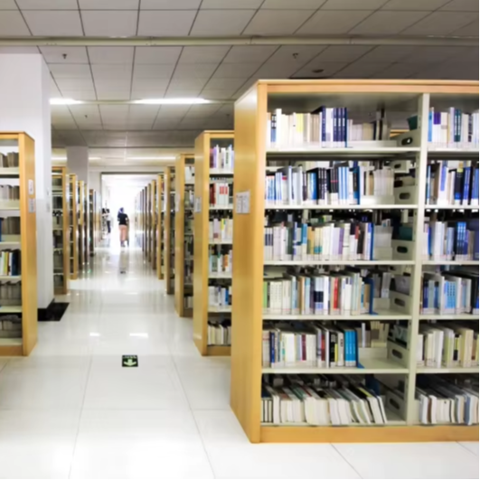 Factory Direct Double-Sided Bo - Home Office Library 评论和价格