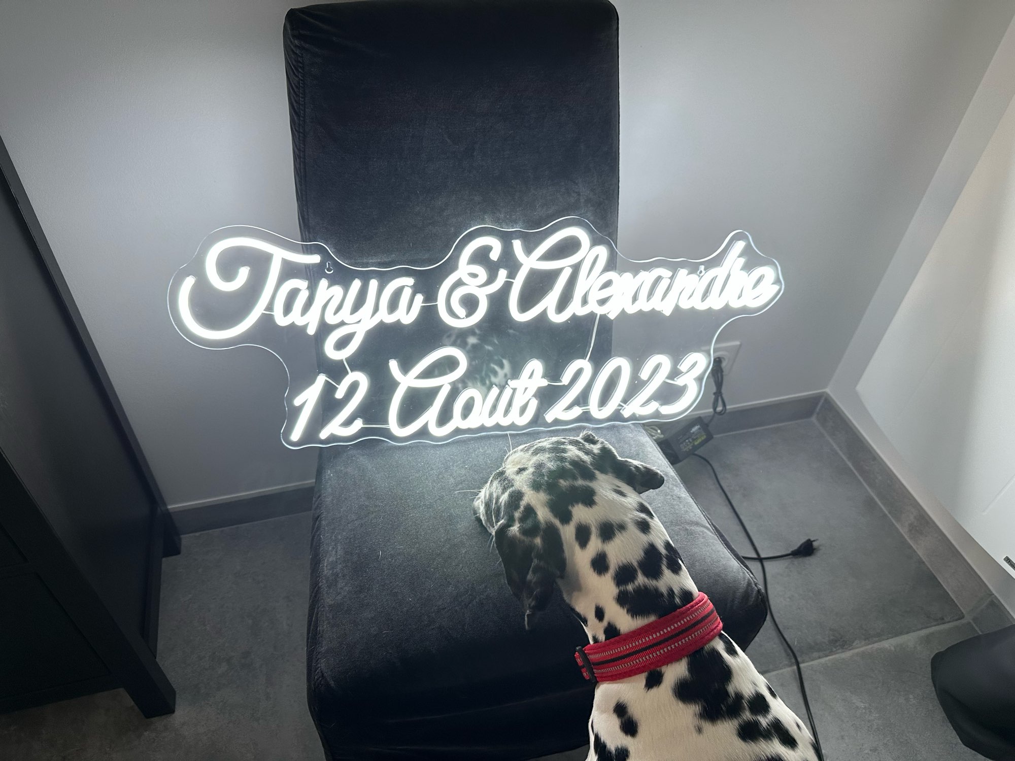 Custom Neon Sign LED Neon Ligh - Home Office Logo 评论和价格